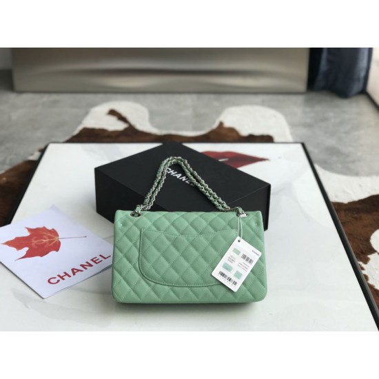 Replica Classic Grained Calfskin Flap Bag A1112 Light Green