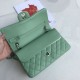 Replica Classic Grained Calfskin Flap Bag A1112 Light Green