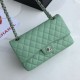 Replica Classic Grained Calfskin Flap Bag A1112 Light Green