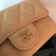 Replica Classic Flap Coin Purse A31504 Apricot