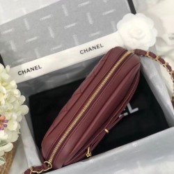 Replica Camera Case Calfskin &amp; Gold-Tone Metal A57659 Claret