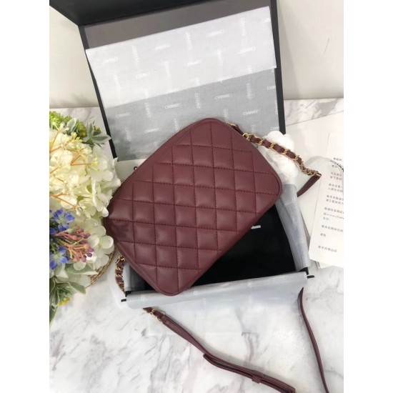 Replica Camera Case Calfskin &amp; Gold-Tone Metal A57659 Claret