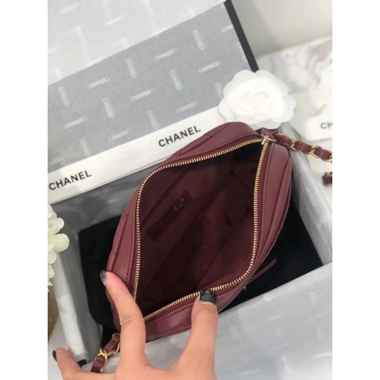 Replica Camera Case Calfskin &amp; Gold-Tone Metal A57659 Claret