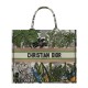 Fake Christian Dior Book Tote Bag In Embroidered Canvas Green Replica