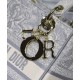 Fake Christian Dior Medium Lady D-Lite Bag Gray Replica Replica Christian Dior Medium Lady D-Lite Bag Gray