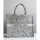 Replica Christian Dior Book Tote Gray Fake Christian Dior Book Tote Gray Replica