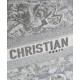 Replica Christian Dior Book Tote Gray Fake Christian Dior Book Tote Gray Replica