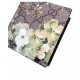 Replica Gucci GG Blooms Wallet 408666 Black