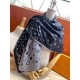 Replica Louis Vuitton Giant Pop Monogram Cashmere Scarf Gay