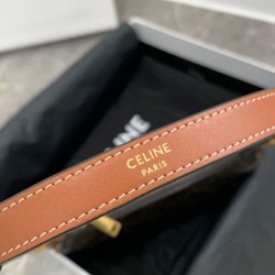 Replica Celine Mini Ava In Triomphe Canvas And Calfskin Brown