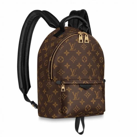 Replica Louis Vuitton Palm Springs PM Backpack Monogram Canvas M44871