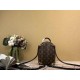 Fake Louis Vuitton Mini Palm Springs Backpack M44873 Replica