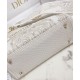Replica Christian Dior Medium Lady D-Lite Bag Golden Replica Christian Dior Medium Lady D-Lite Bag Golden