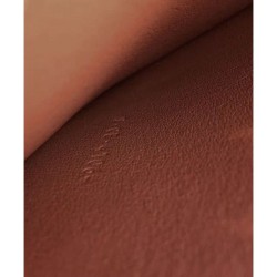 Fake Celine Medium Frame Bag Coffee Replica