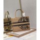 Fake Christian Dior Small Book Tote Apricot Replica Fake Christian Dior Small Book Tote Apricot Replica