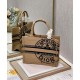 Fake Christian Dior Small Book Tote Apricot Replica Fake Christian Dior Small Book Tote Apricot Replica