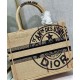 Fake Christian Dior Small Book Tote Apricot Replica Fake Christian Dior Small Book Tote Apricot Replica