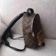 Fake Louis Vuitton  Palm Springs Backpack PM Monogram Reverse M43116 Replica