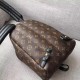 Fake Louis Vuitton  Palm Springs Backpack PM Monogram Reverse M43116 Replica