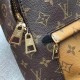 Fake Louis Vuitton  Palm Springs Backpack PM Monogram Reverse M43116 Replica