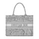 Replica Christian Dior Small Dior Book Tote Gray Fake Christian Dior Small Dior Book Tote Gray Replica