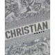 Replica Christian Dior Small Dior Book Tote Gray Fake Christian Dior Small Dior Book Tote Gray Replica