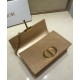 Replica Christian Dior 30 Montaigne Flap Chain Bag Bronze-Coloured Replica Christian Dior 30 Montaigne Flap Chain Bag Bronze-Coloured