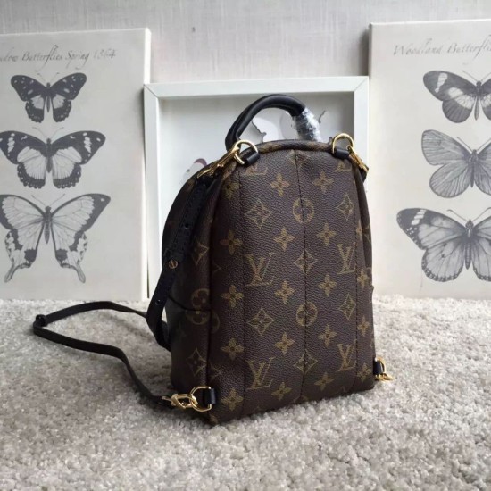Replica Louis Vuitton  Palm Springs Backpack Mini M41562