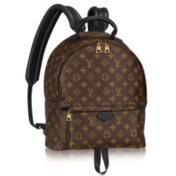 Fake Louis Vuitton  Palm Springs Backpack MM M41561 Replica