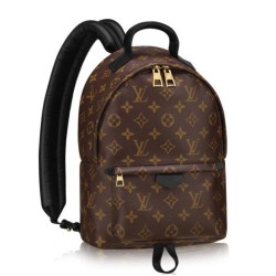 Replica Louis Vuitton  Palm Springs Backpack PM M41560