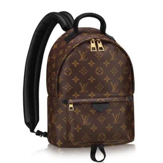 Replica Louis Vuitton  Palm Springs Backpack PM M41560