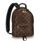 Replica Louis Vuitton  Palm Springs Backpack PM M41560