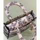 Fake Christian Dior Medium Lady D-Lite Bag Cream Replica Replica Christian Dior Medium Lady D-Lite Bag Cream