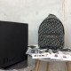 Replica Christian Dior Oblique Backpack