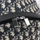 Replica Christian Dior Oblique Backpack