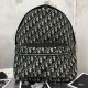 Replica Christian Dior Oblique Backpack