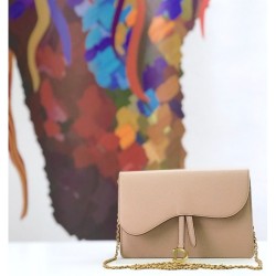 Fake Christian Dior Saddle Woc Chain Bag M5620 Apricot Replica