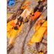 Replica Gucci classic double G letter Logo Scarf with floral elements Orange